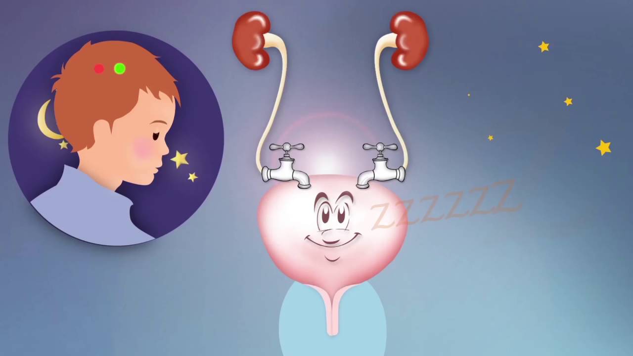 Lili La Vessie: Pipi au lit la nuit